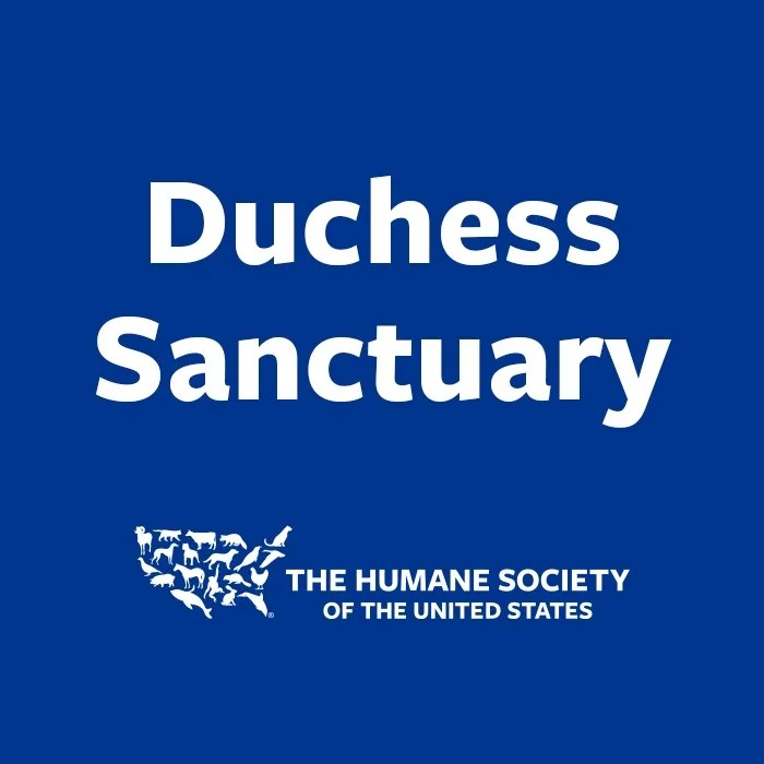 Duchess Sanctuary